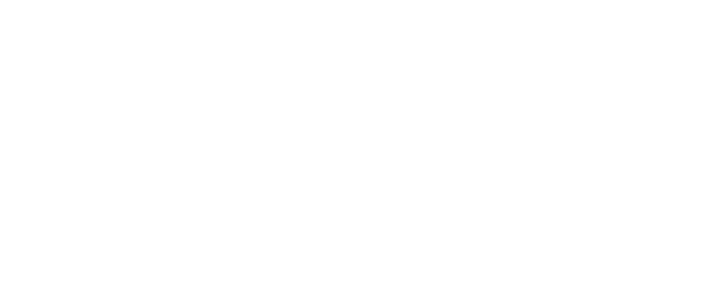 Logo Mario Boldens